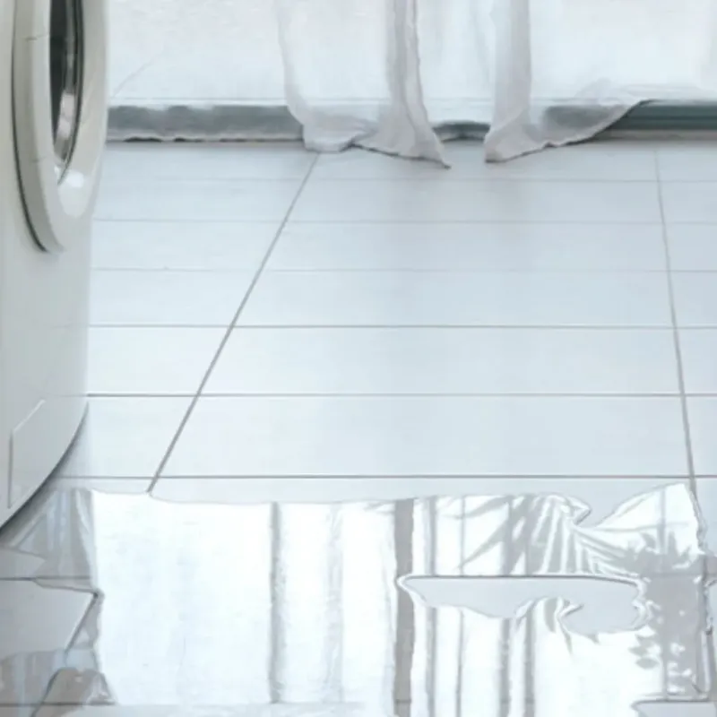 Appliance Leak Cleanup in Saint John, IN