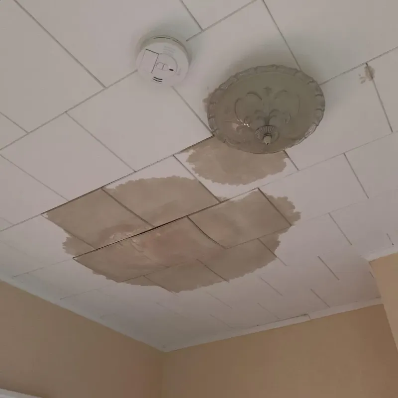 Ceiling Water Damage Repair in Saint John, IN