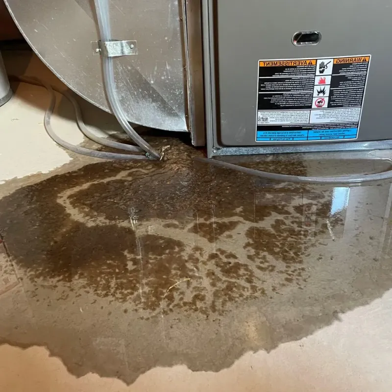 Pipe Burst and Leak Restoration in Saint John, IN