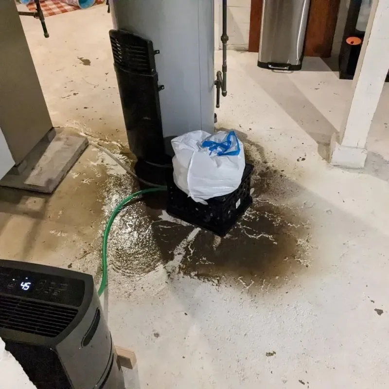 Sewage Backup Cleanup Service in Saint John, IN